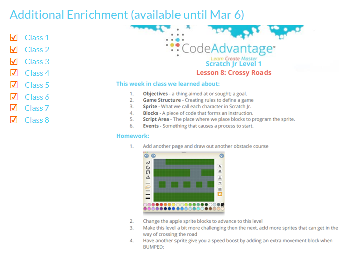 ACCESS ENRICHMENT ACTIVITIES AND PROJECTS